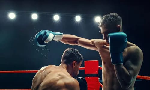 Найкращі боксери у світі.